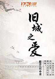 干趙麗穎小說